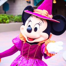Halloween 2020 Disneyland Pris avis