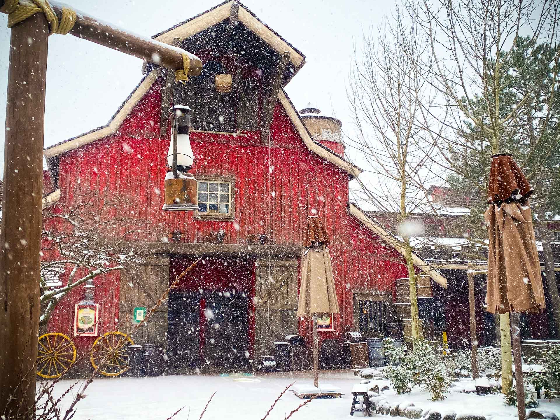 Disneyland Paris sous la neige 