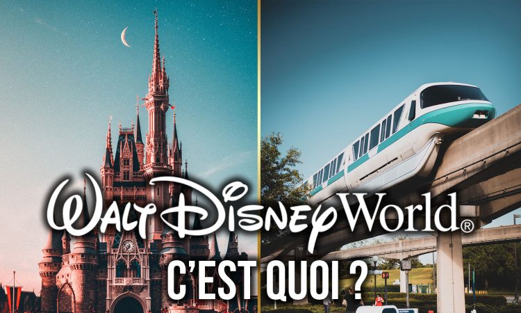 QUEST-CE-QUE-WALT-DISNEY-WORLD-PRESENTATION-EXPLICATIONS