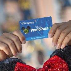 Rendez-Vous Magique - Holiday Memories : le PhotoPass+ à 24€ seulement !