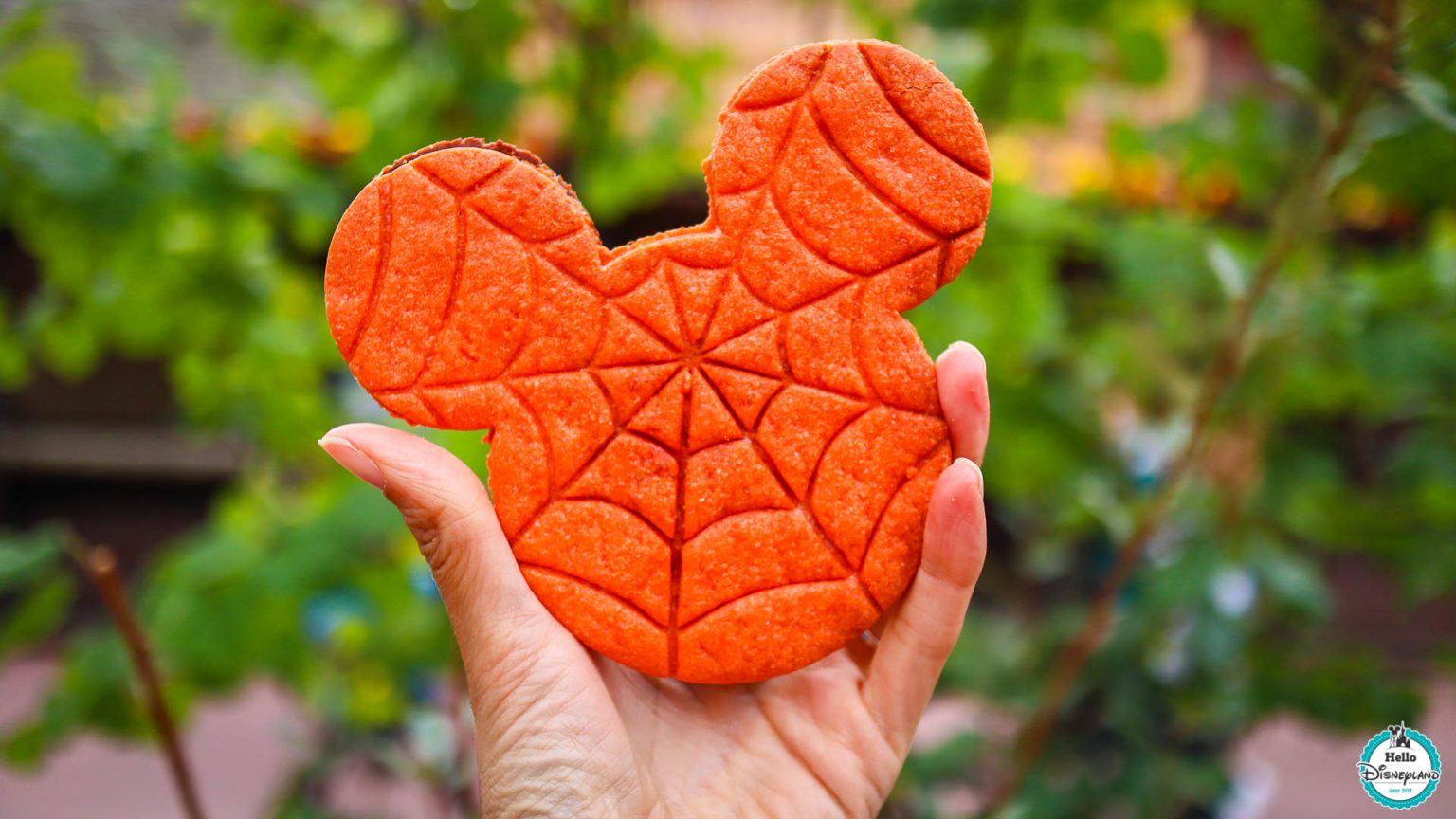 Festival Halloween 2024 de Disneyland Paris le guide complet