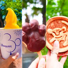 meilleurs-best-Disneyland-Paris-snacks-HELLO-DISNEYLAND-