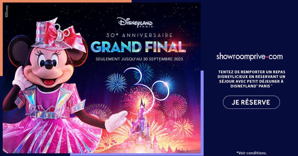 Disneyland Paris Ventes Prives